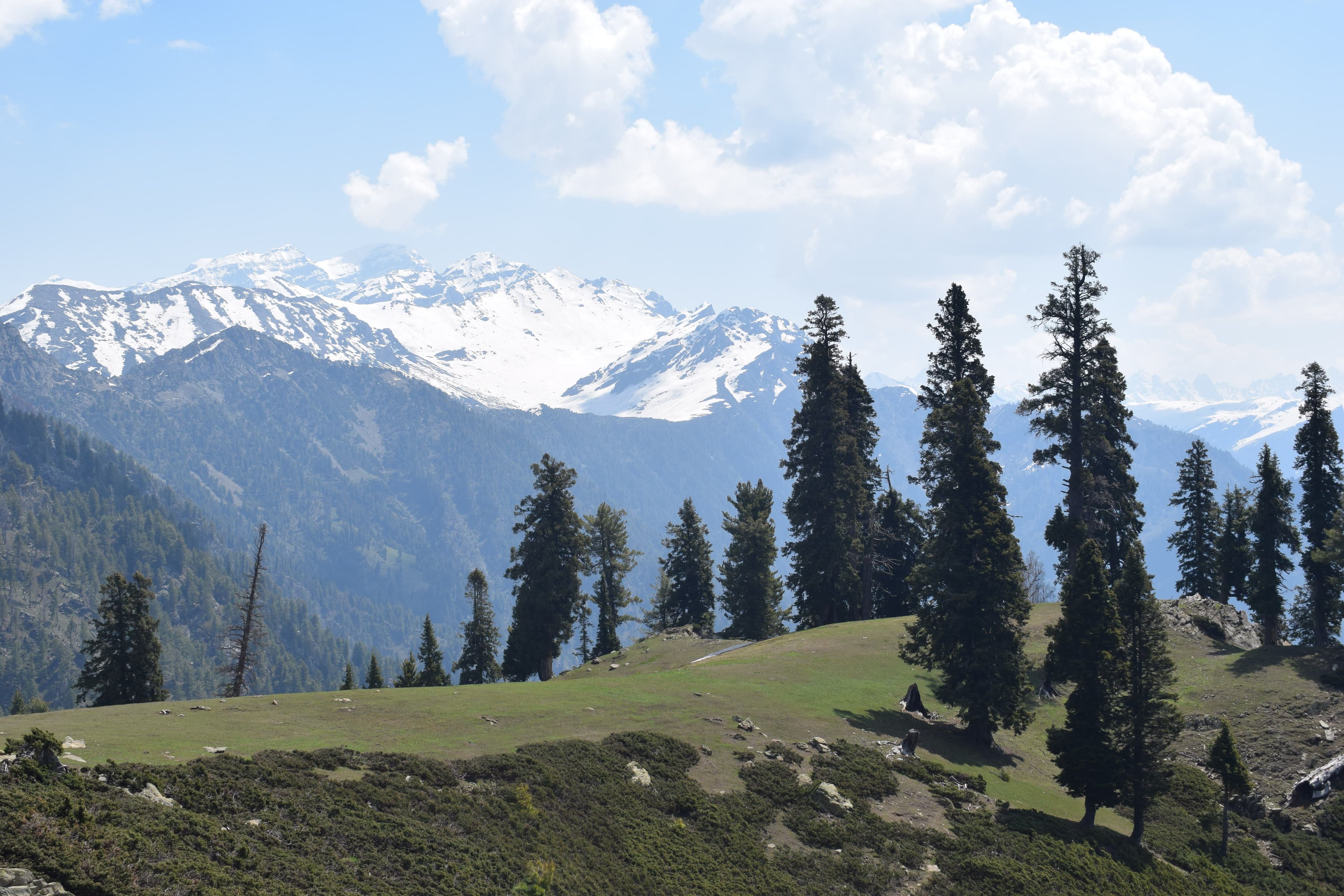 Shogran & Siri Paye